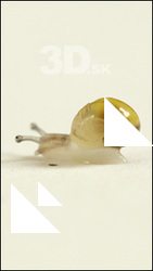 Snail # 1