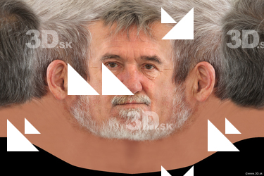 Male head texture