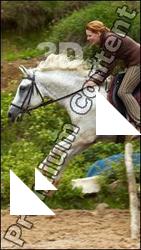 Horse poses # 2