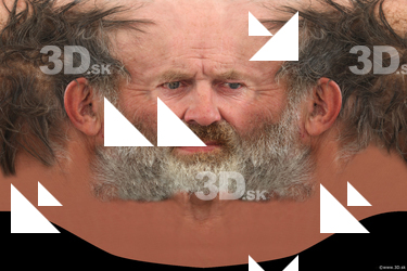 Male head texture