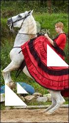 Horse poses # 6