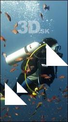 Underwater life # 6