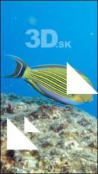 Underwater life # 10