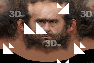 Male head texture