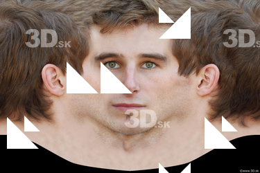 Male head texture