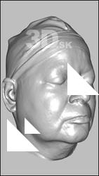Female head 3D scan