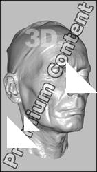 Male head 3D scan - Milan