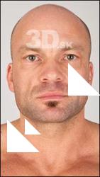 Dale head photo references