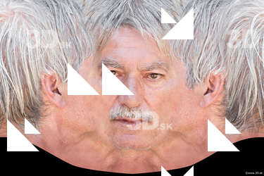 Male head texture