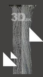 Tree Base Enviroment Scan