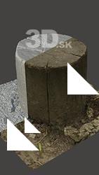 Stump Wood Base Enviroment Scan