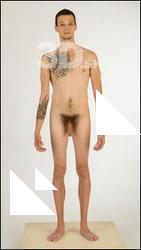 Willard