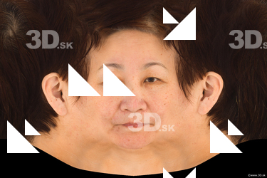 Female head texture