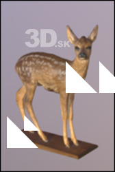 Deer doe (Capreolus capreolus)