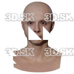 Jitka Retopo Head Scan V1