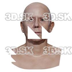 Alena Retopo Head Scan V1