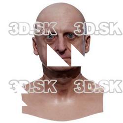 Miran Retopo Head Scan V1