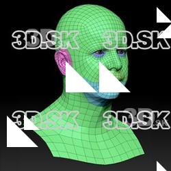 Retopologized 3D Head scan of Martin SubDivision