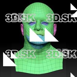 Retopologized 3D Head scan of Hanzal SubDivision
