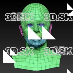 Retopologized 3D Head scan of Galina SubDivision