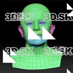 Retopologized 3D Head scan of Ludmila SubDivision