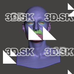 Retopologized 3D Head scan of Anicka SubDivision