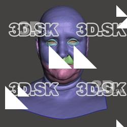Retopologized 3D Head scan of Blanka2 SubDivision