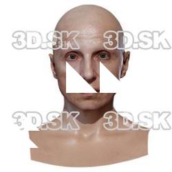 Bradley Retopo Head Scan V1