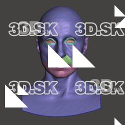 Retopologized 3D Head scan of Bradley SubDivision