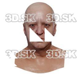 Dana Retopo Head Scan V1