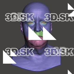 Retopologized 3D Head scan of Dana SubDivision
