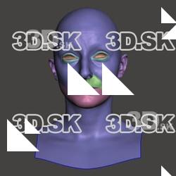 Retopologized 3D Head scan of Sarka SubDivision