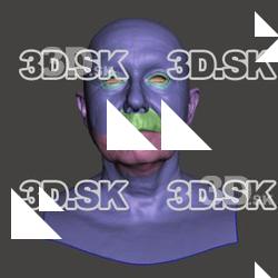 Retopologized 3D Head scan of Vladimira SubDivision