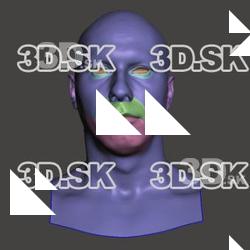Retopologized 3D Head scan of JiriD SubDivision