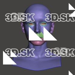 Retopologized 3D Head scan of MarikaV SubDivision
