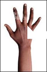  Metrine Retopo Hand Scan