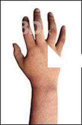 Ameen Nazir Retopo Hand Scan