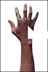 Aduba Retopo Hand Scan