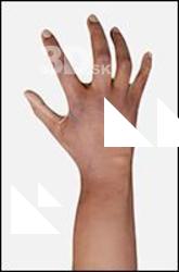 Aduba Retopo Hand Scan