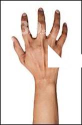 Fernandes Retopo Hand Scan