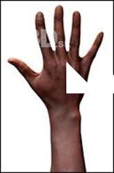 Qwantez Daniel Retopo Hand Scan