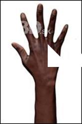 Abina Retopo Hand Scan