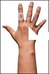 Abigail Morris Retopo Hand Scan