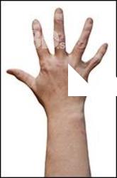 Ethan Lawson Retopo Hand Scan