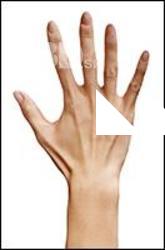 Ishikawa Sayoko Retopo Hand Scan