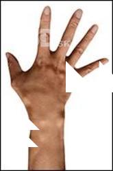 Tokuda Heizo Retopo Hand Scan
