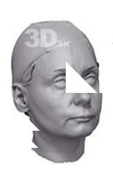 Malvina Base Scan Head