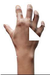 Amelia Watts Retopo Hand Scan