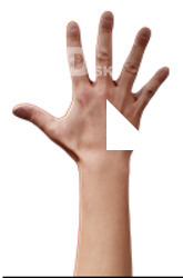 Elliot Williamson Retopo Hand Scan