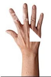 Kaga Sumi Retopo Hand Scan